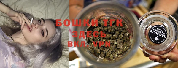 МДПВ Пересвет